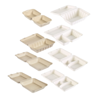 Bagasse-Boxen mit anhängendem Deckel