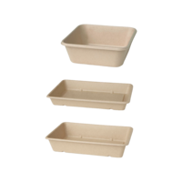 Bagasse - Schalen eckig