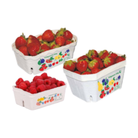 Beerenschalen aus Holzschliff