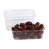 Beerenschalen aus Kunststoff