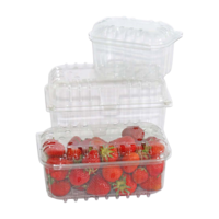 Beerenschalen aus Kunststoff mit anhängendem Deckel