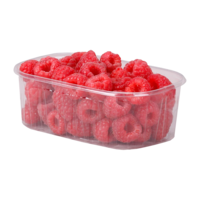 Beerenschalen aus Kunststoff 250 g