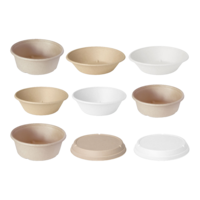 Bagasse-Salatschalen