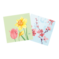 Duni Zelltuch-Servietten - 24 x 24 cm - Frühling