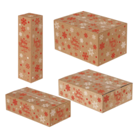 Flaschen-Versandsystem Umkartons DHLPTZ-geprüft Weihnachten