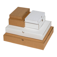 Versandkarton Flat-Pak