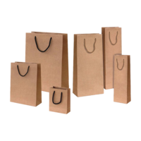 Geschenk-Tragetaschen aus Kraftpapier