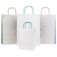 Geschenk-Tragetaschen Graspapier mit gedrehter Kordel