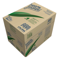 Kopierpapier A4 natur aus 100 Zuckerrohrfaser 72 gqm