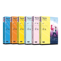 Kopierpapier Tecno Colors A4 80 gqm 500 Blatt
