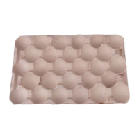 Nestpack - Einlagen aus Holzschliff für 40 x 60 cm Steigen