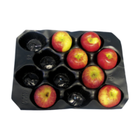 Nestpack-Einlagen aus Kunststoff 40 x 60 cm schwarz