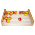 Obstschaumzuschnitt für Kisten 40 x 60 cm