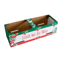 Obstkörbchen 25 kg frisch aus der Natur