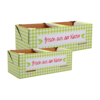 Obstkörbe 2 - 4 kg frisch aus der Natur mit integriertem Griff