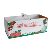 Obstkörbe 3 kg frisch aus der Natur mit Kunststoffgriff