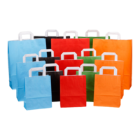 Papiertragetaschen farbig mit Papierhenkel