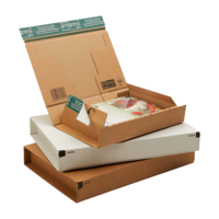 Versandkartons "Postbox secure maxi"