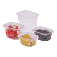 Rechteckbecher transparent