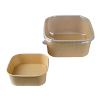 Salatbox To Go braun quadratisch