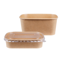 Salatbox To Go braun rechteckig