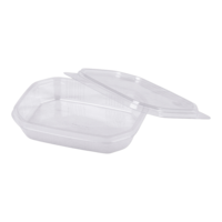 Sülzenschale und Aspikschale mit Deckel