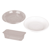 Sülzenteller und Schinkenröllchenformen