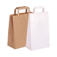 Tragetasche aus Papier mit Papierhenkel