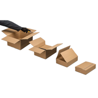 Wellpapp-Faltkartons braun 1-wellig