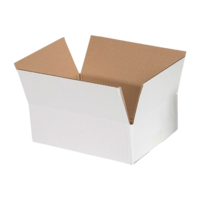 Wellpapp-Faltkartons weiß 2-wellig