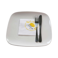 Duni - Servietten Zelltuch mit Motiv 24x24 cm