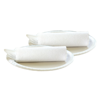 Zelltuchservietten 2-lagig weiß